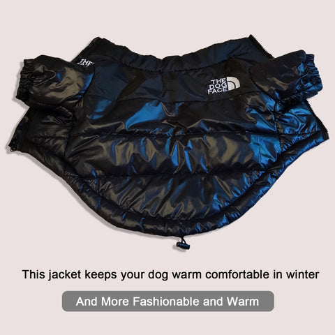 The Dog Face Winter Jacket - Dog & Cat Apparel | GROOMY