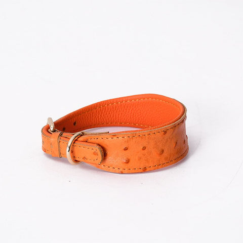 Leather Dog Collar - Solid Color - Groomy