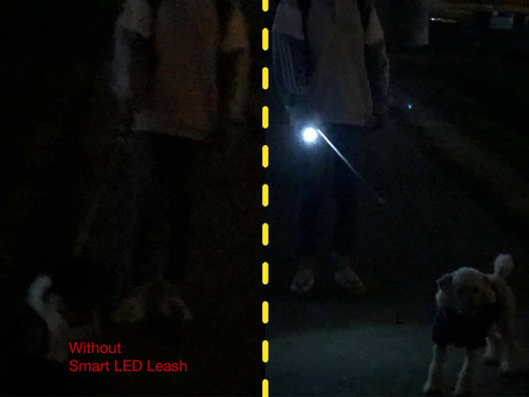 Smart LED Retractable Dog Leash - Keep Your Dog Safe at Night | GROOMY