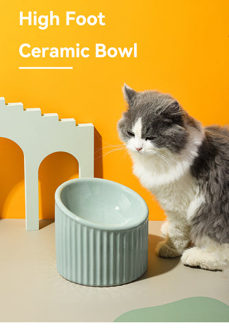 Elevated Bowl -  Raised Cat & Dog Bow l GROOMY