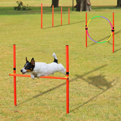 Dog Agility Jumping Set - GROOMY