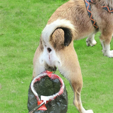 Dog Poop Catcher with Bags