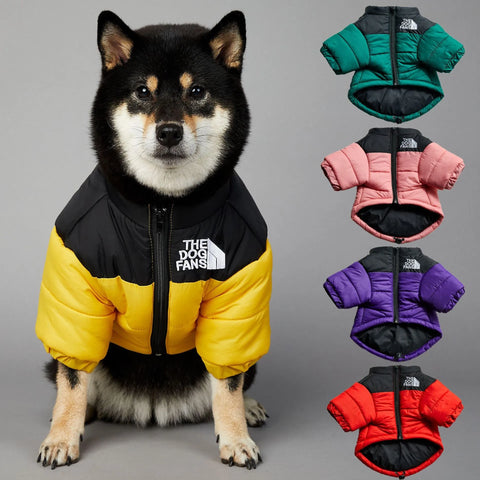 The Dog Face Jacket - Type B | GROOMY