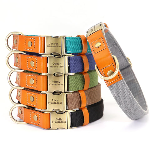 Custom Dog Collar Leash Set - Groomy