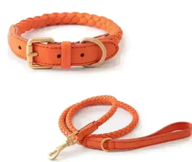 Tow Rope & Dog Collar-image-40