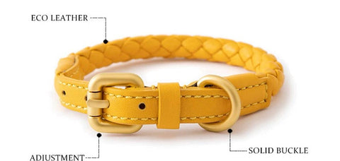 Tow Rope Dog Collar- Groomy