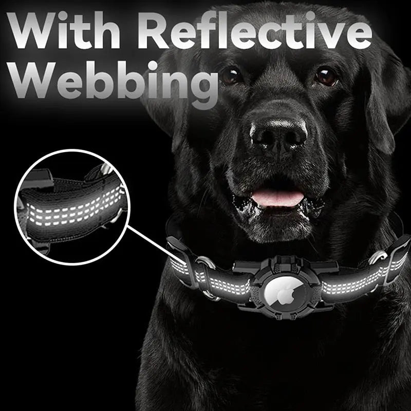Waterproof AirTag Dog Collar Holder – CollarDirect