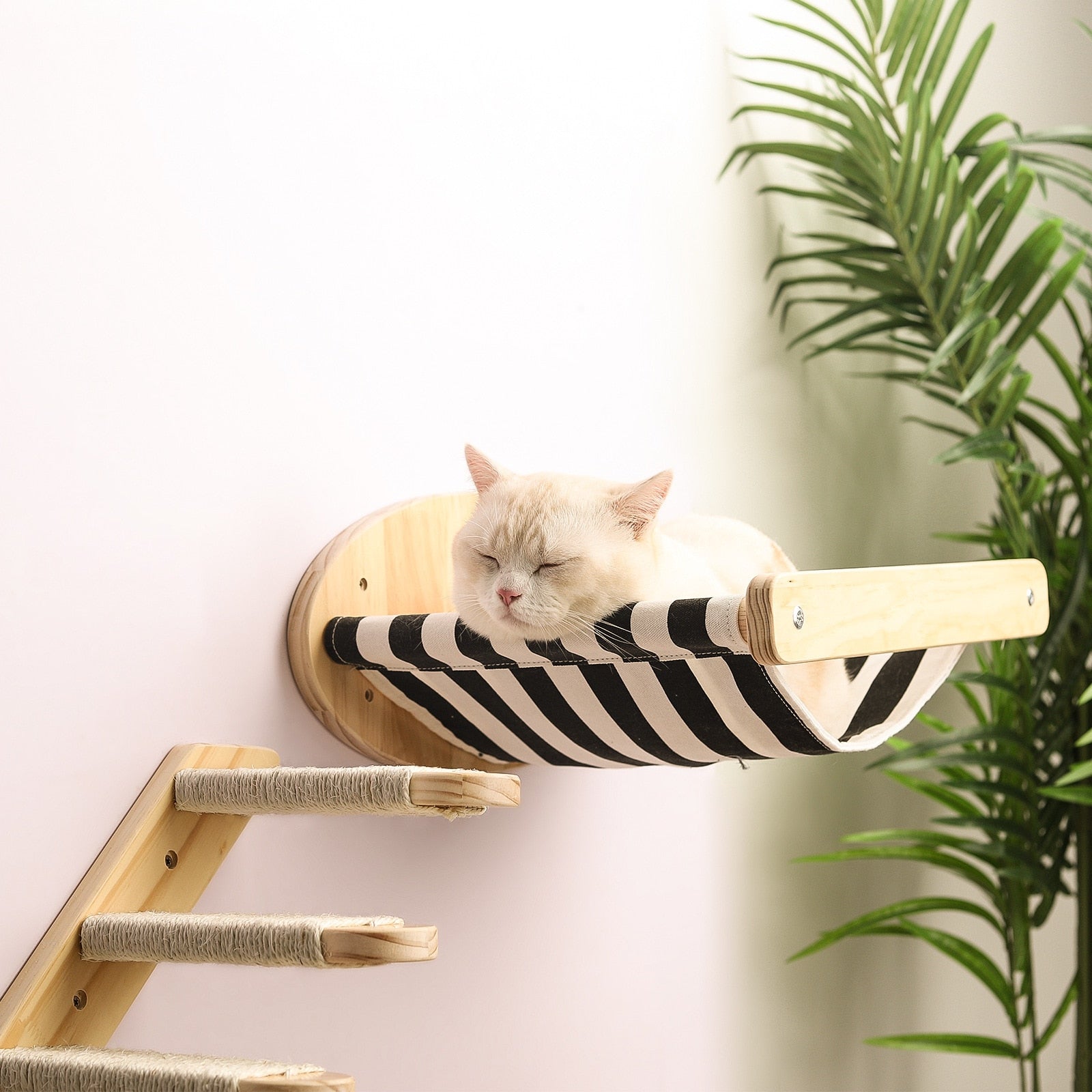 Cat Wall Shelves - Style A-image-16