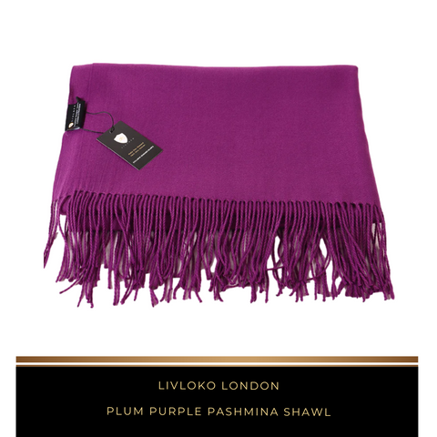 Plum Purple Pashmina Shawl