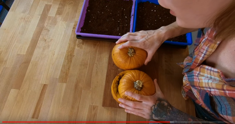 7 - Mandi of On The Grow putting tops of pumpkins back on.PNG