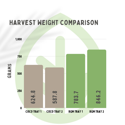 Microgreen Harvest weight Comparison