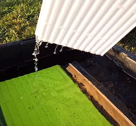 Microgreens trays being cleaned and sanitized