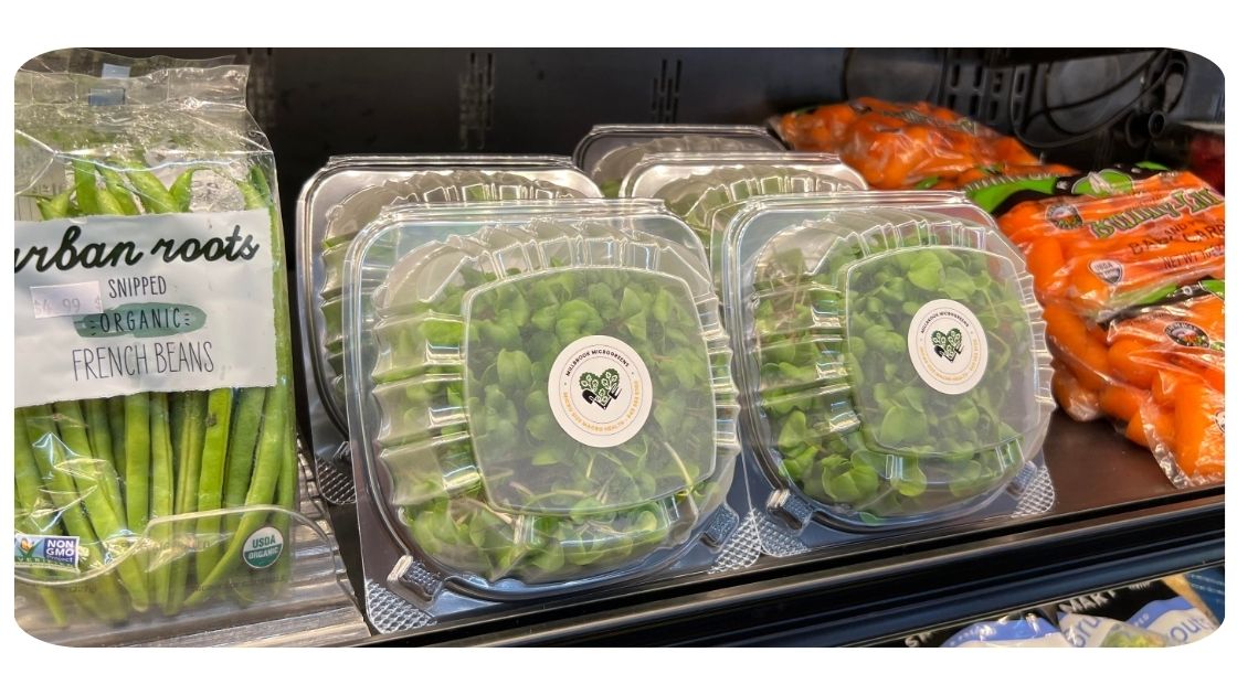 Millbrook Microgreens on shelf at local NY grocery store - blog photo