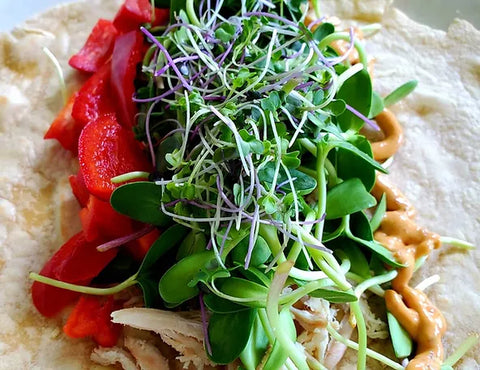 On the grow's Sunflower & Purple Sprouting Broccoli Microgreen taco