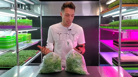 CanHarvest Weights -  Paper Towels Grow Microgreens Successfully? | Coco Coir vs Paper Towel