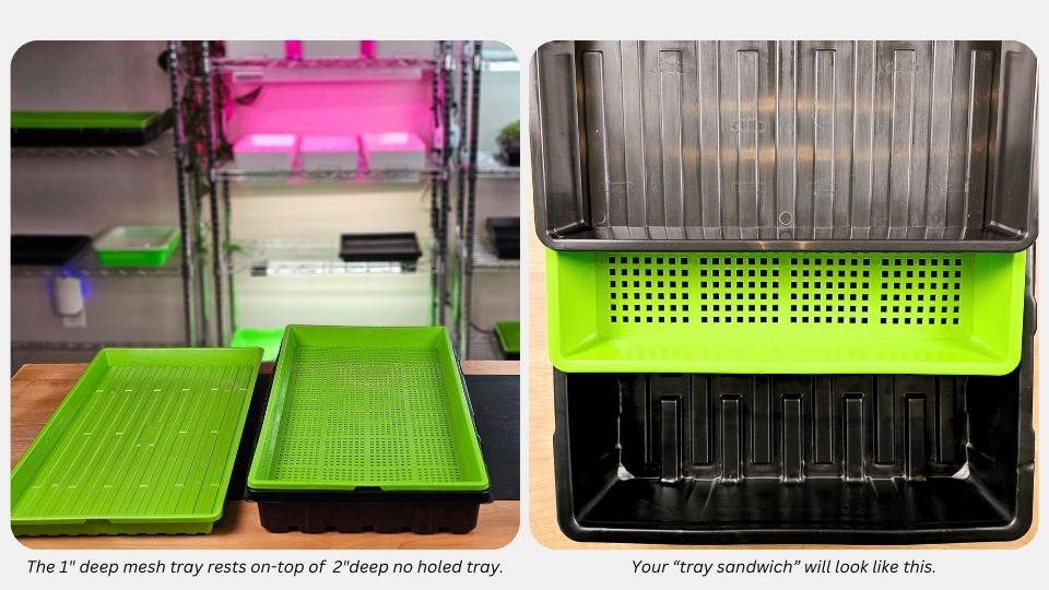 Step 1) Growing Microgreens using the Kratky Method_ Tray Setup