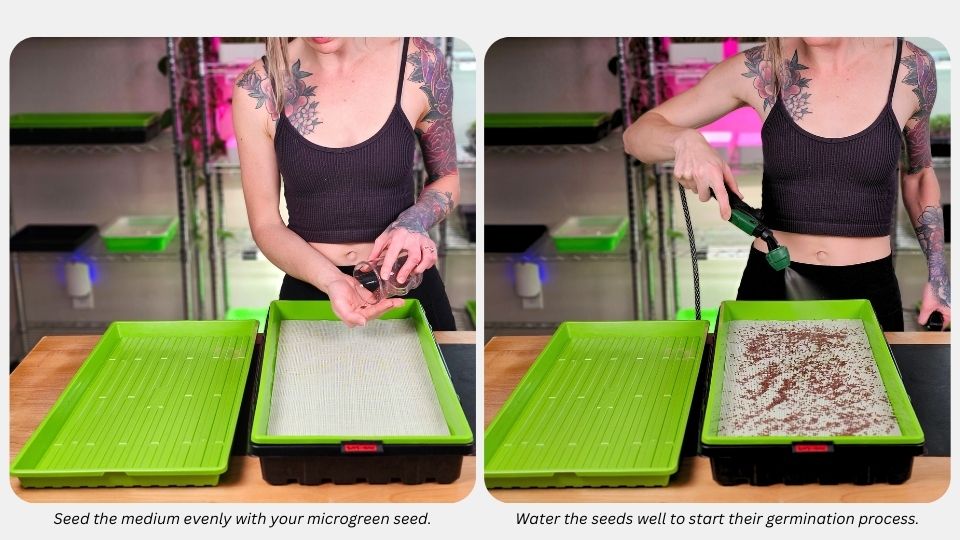 Step 3) Seeding the silicone reusable grow medium for the Kratky Method and watering the tray