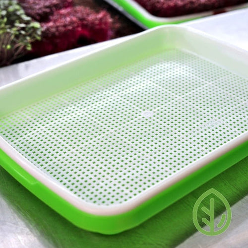 1010 Seed Starting Trays  Order Extra-Strength 10x10 Trays