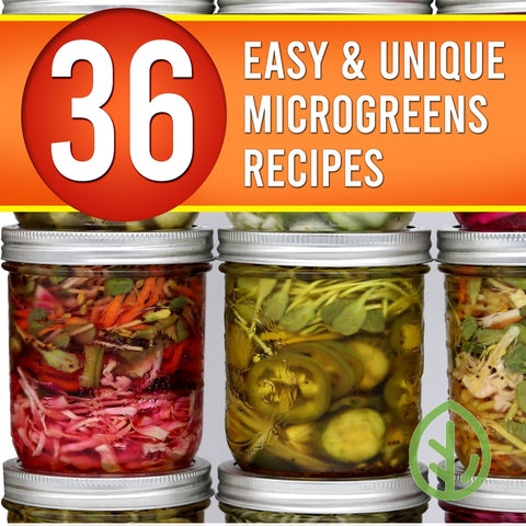 36 Easy & Unique Microgreen Recipes