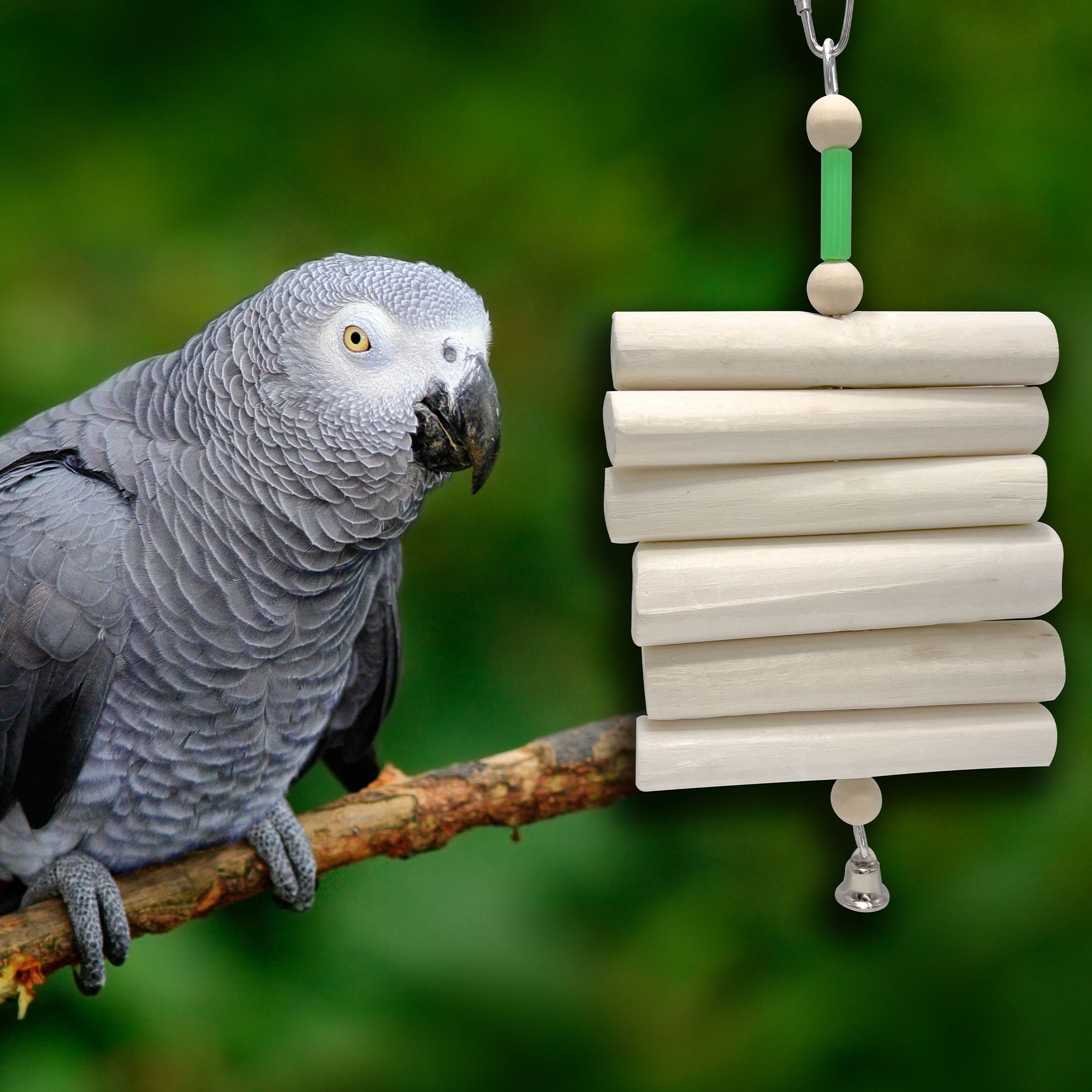 What is a sola snow cone bird toy?