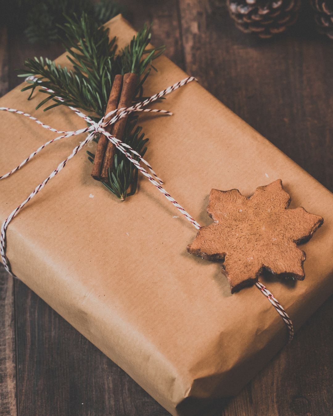 sustainable Christmas gift