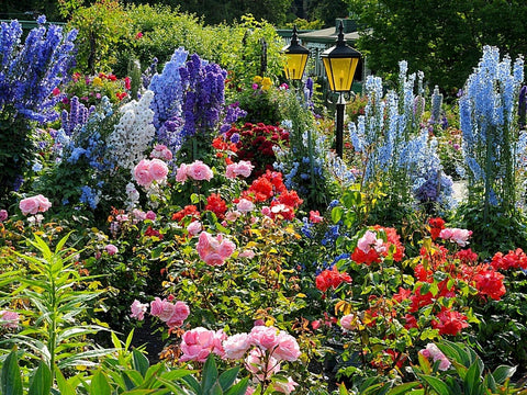 Butchard Gardens