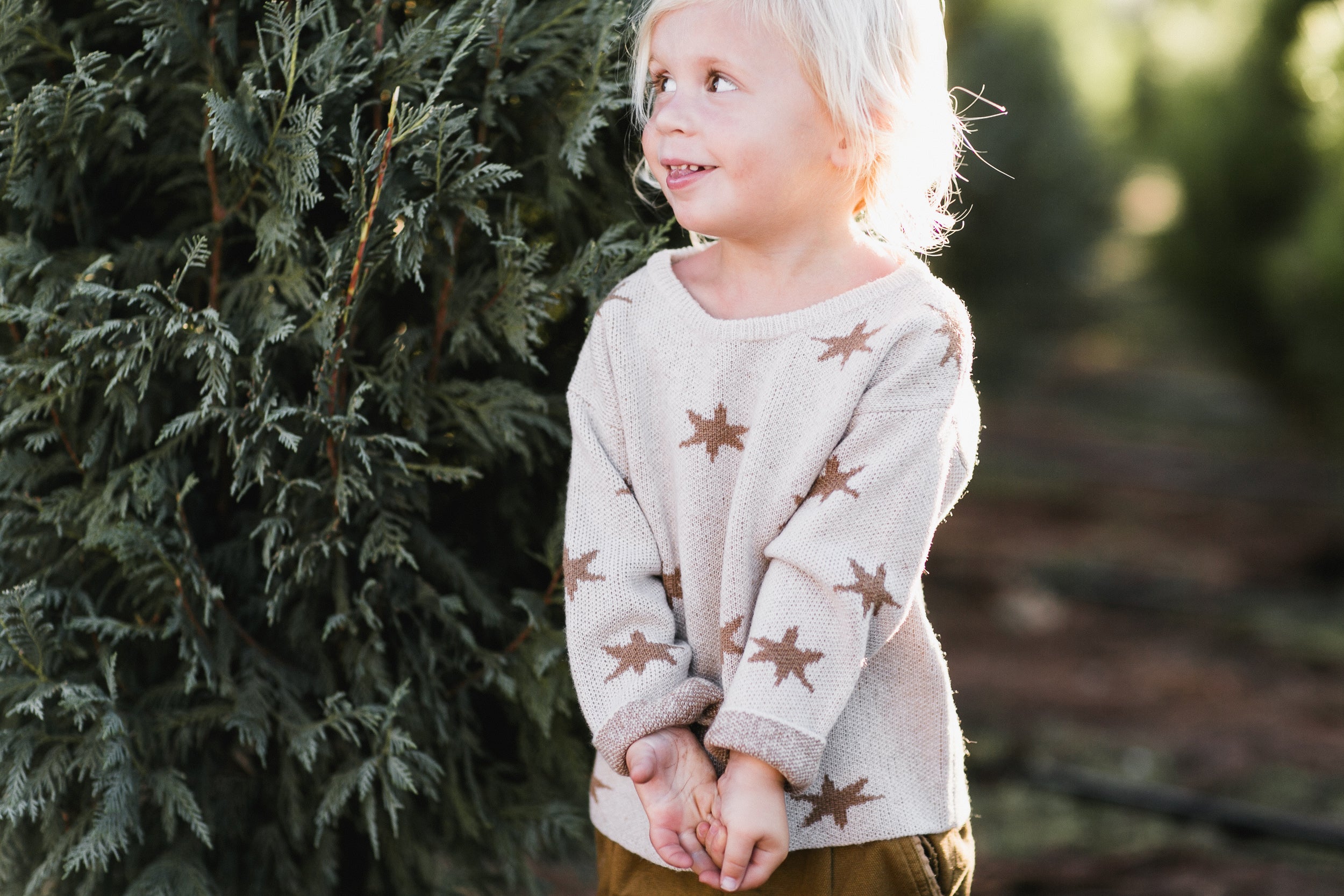 Rylee and Cru North Sweater - Starlight