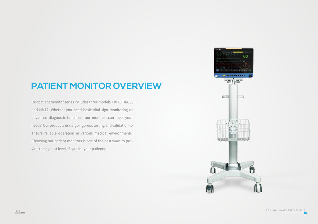 Dawei Medical patient monitor HM11-1