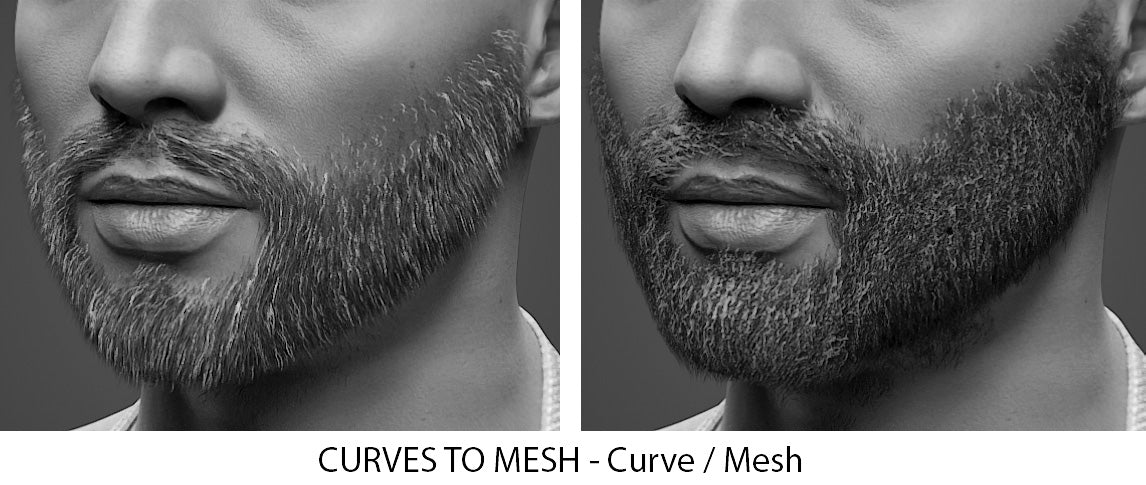 Transhuman4Blender beard curve vs beard mesh