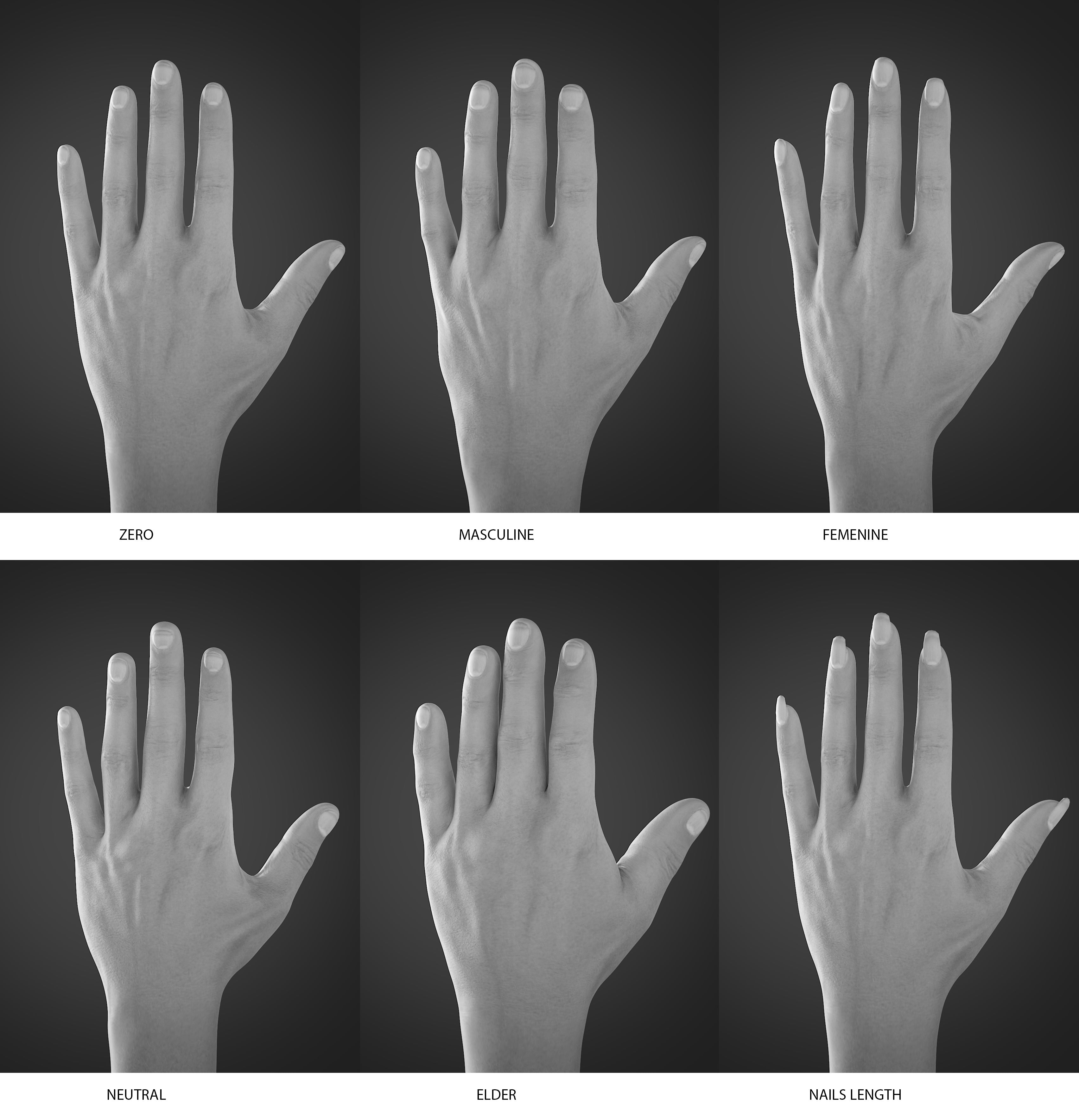Transhuman4Blender hand shapes: Masculine, Femenine, Neutral, Elder, and long nails