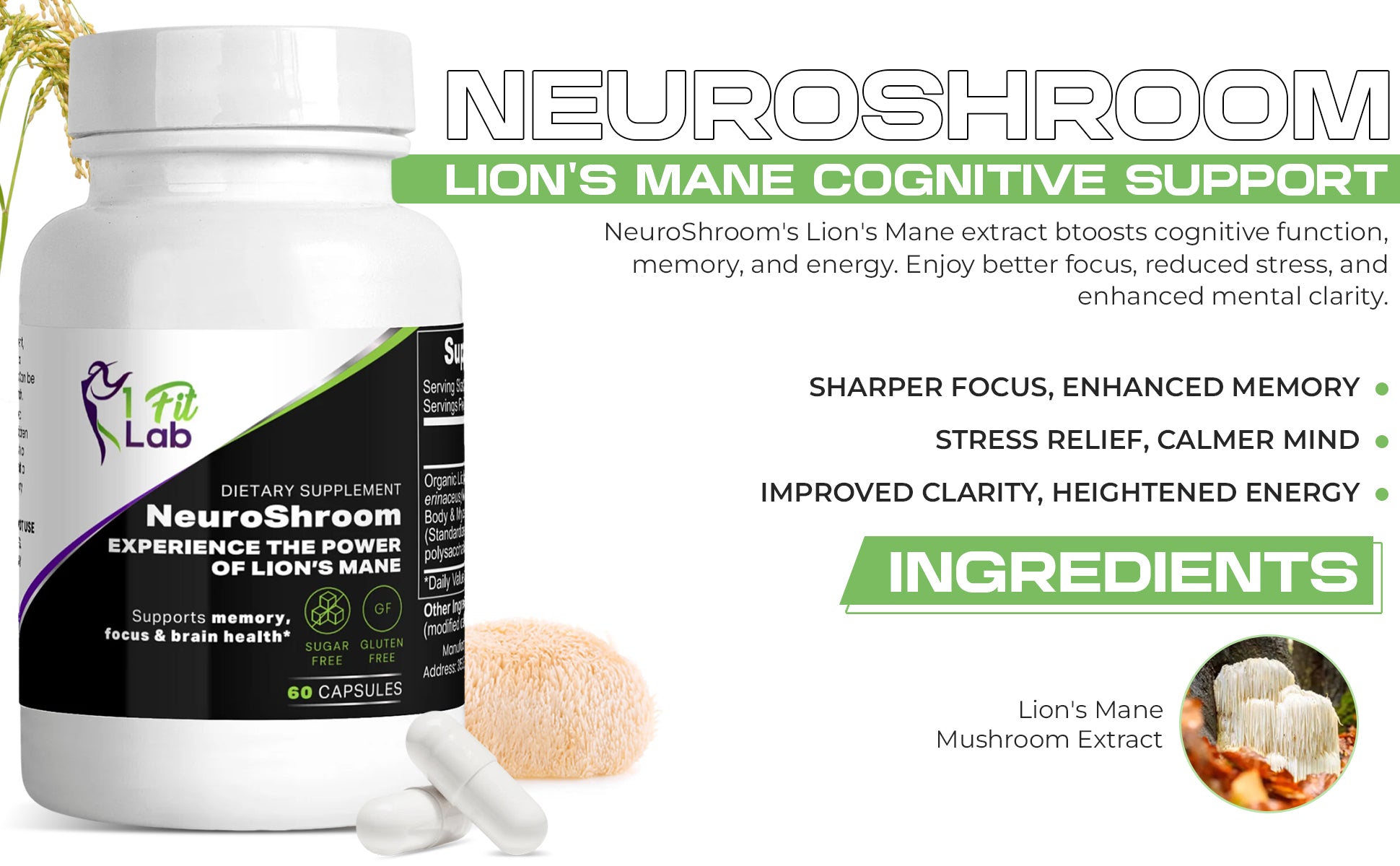 NeuroShroom Lion's Mane Mushroom supplement infographic