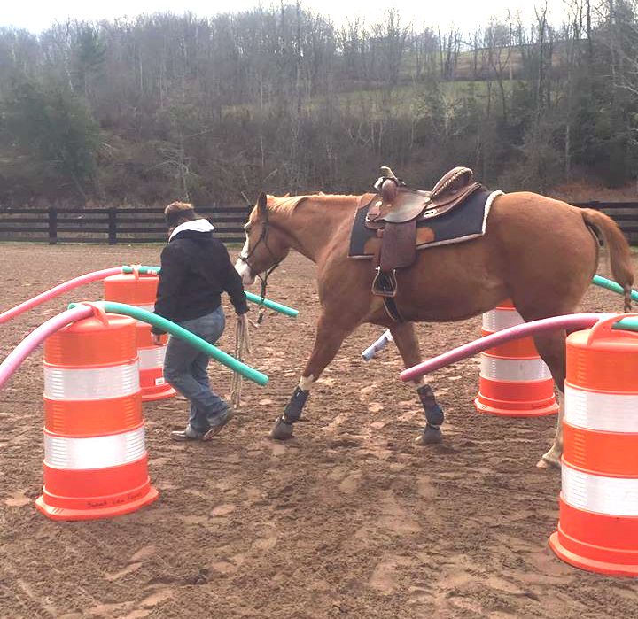 Unbelts Unbassadors Mary Elena and Kim of Equine Groundworks Solutions