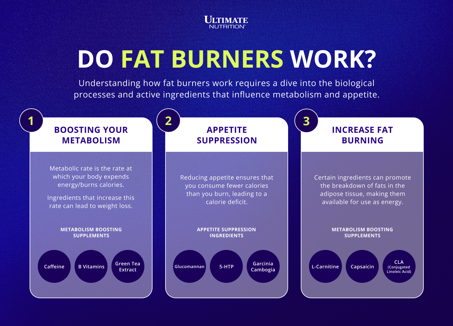 Do Fat Burners Work?