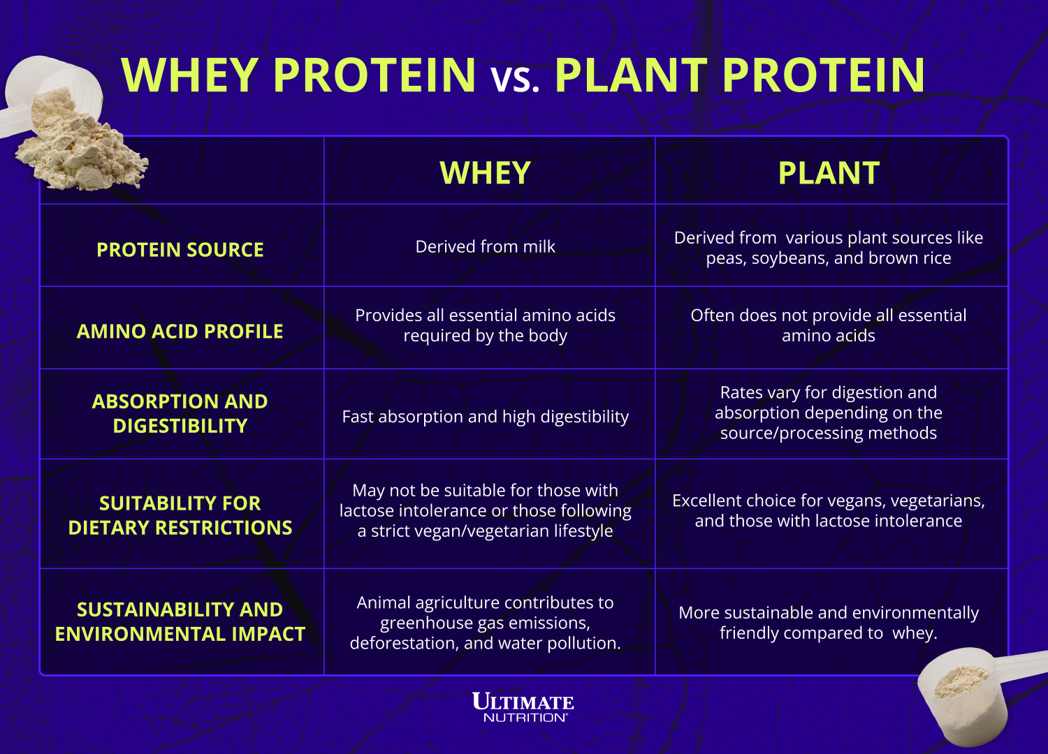 Proteína de soro de leite vs proteína vegetal