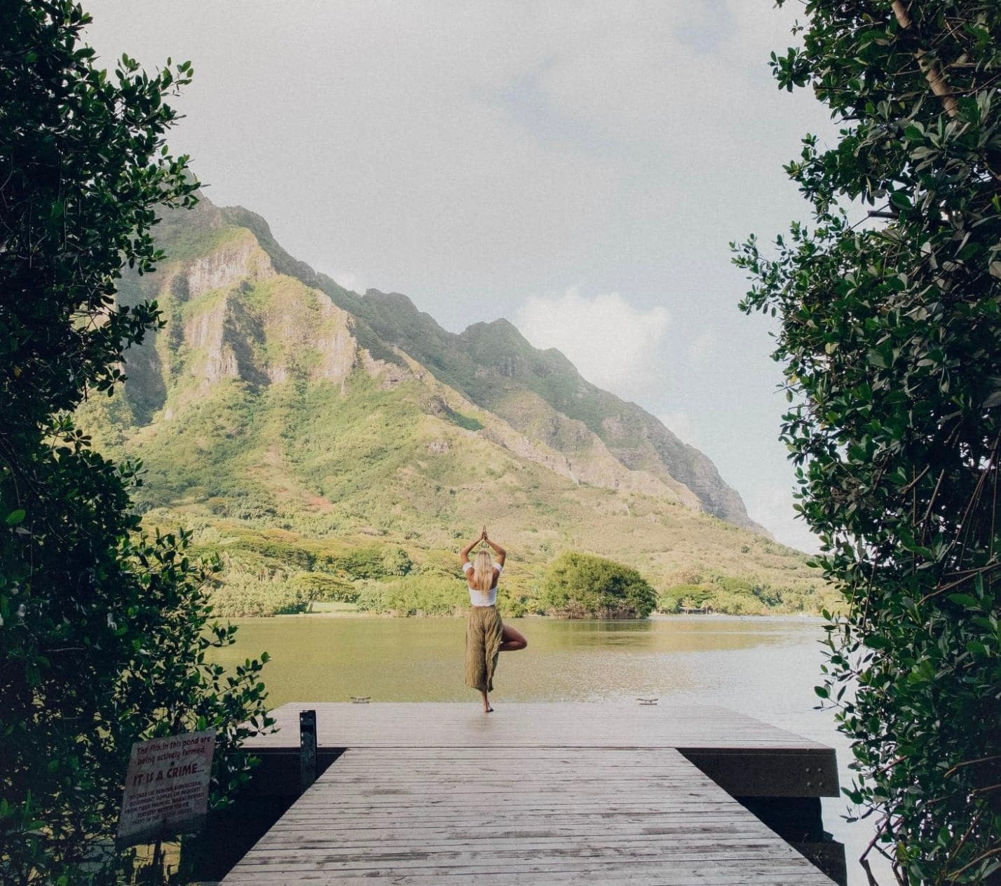 Woman performing yoga on a dock