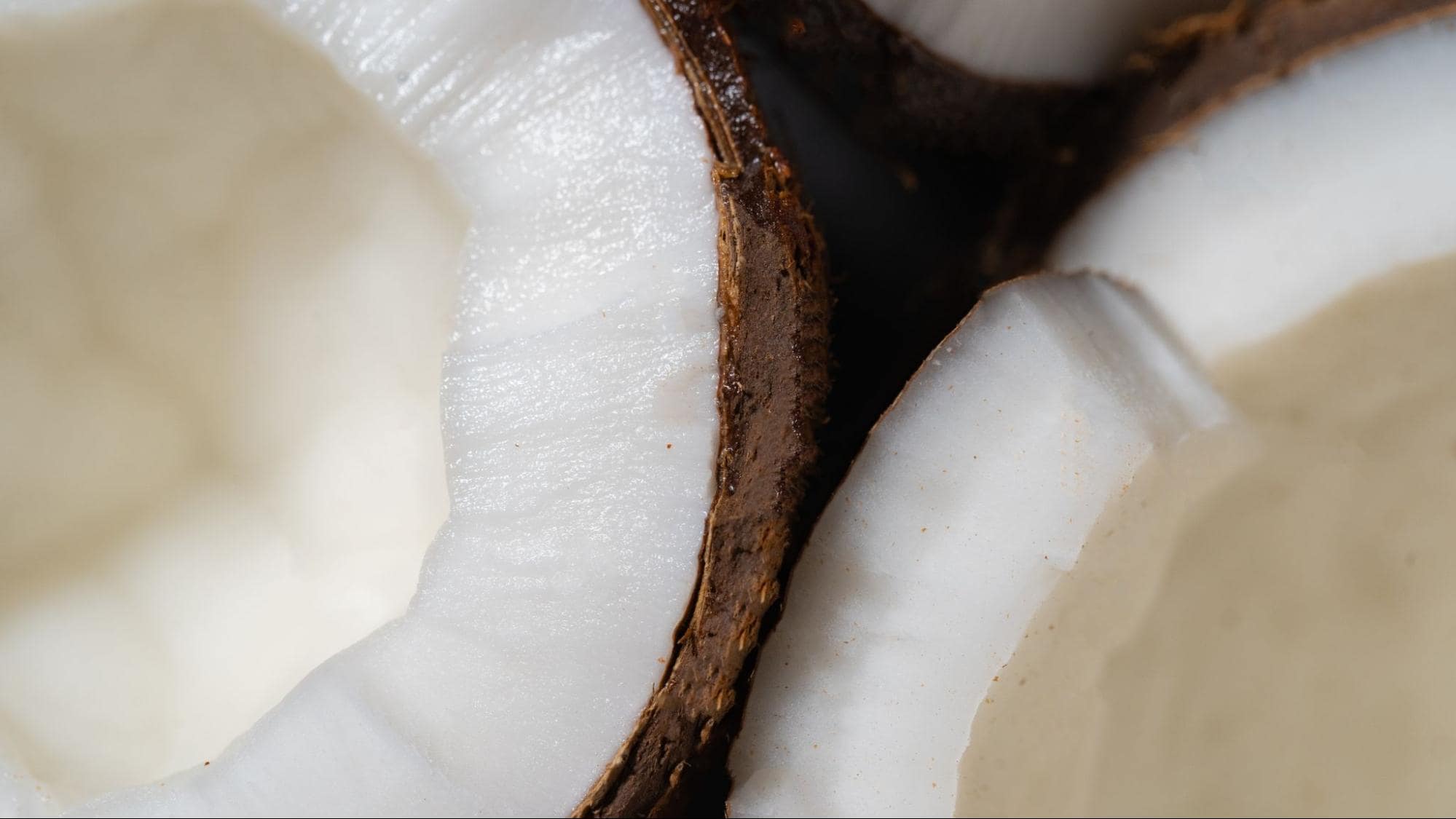Стоковое изображение кокосов пополам
