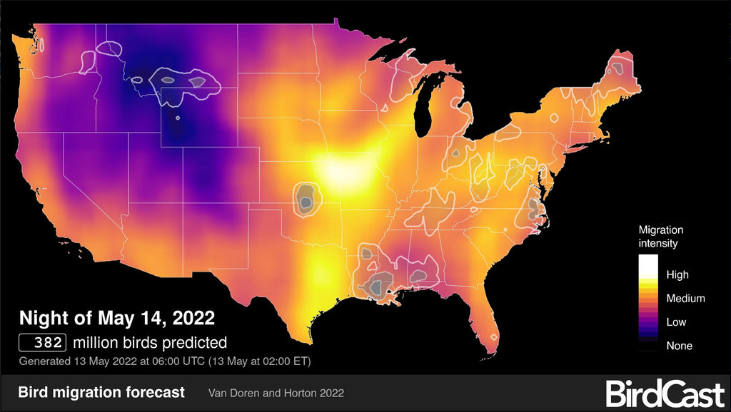 Bird Cast Bird Migration map May 14, 2022