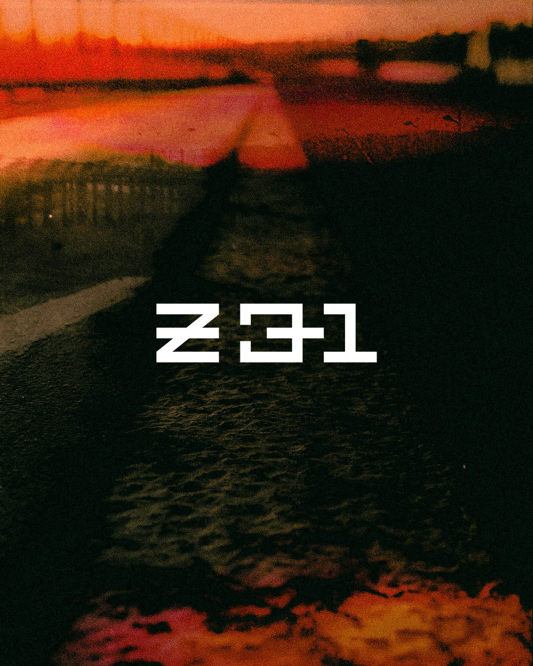 Z31