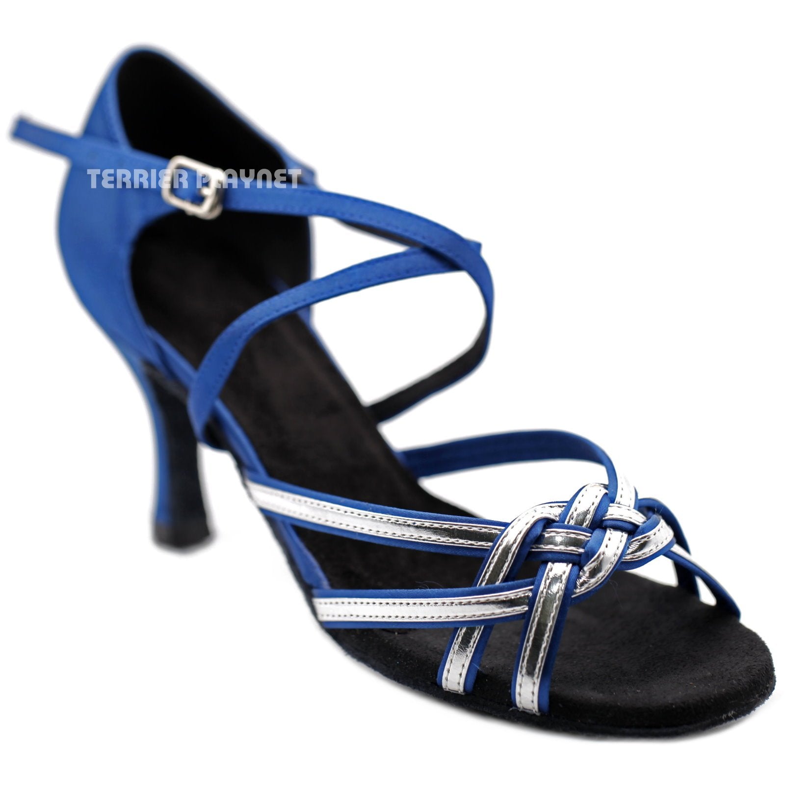 Blue \u0026 Silver Women Dance Shoes D1251 