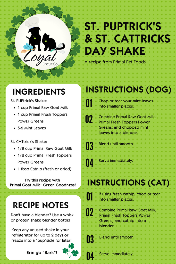 Shamrock Shake for Pets Recipe