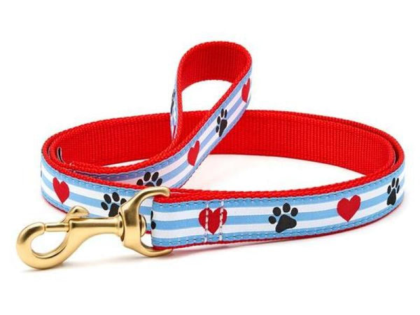 Chili Pepper Cactus Dog Collar  1 Inch by Belted Cow Company. Maine In  Maine