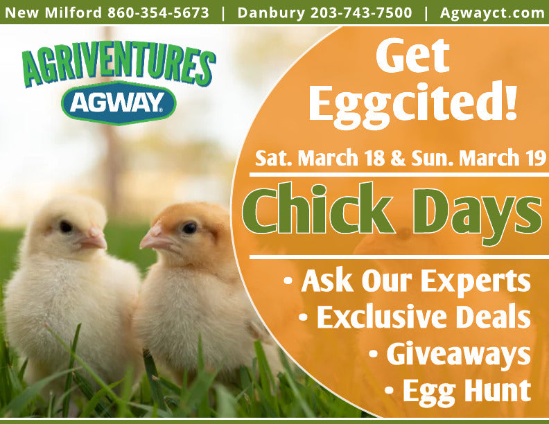 Chick Days Danbury, CT New Milford, CT Agriventures Agway Pickup