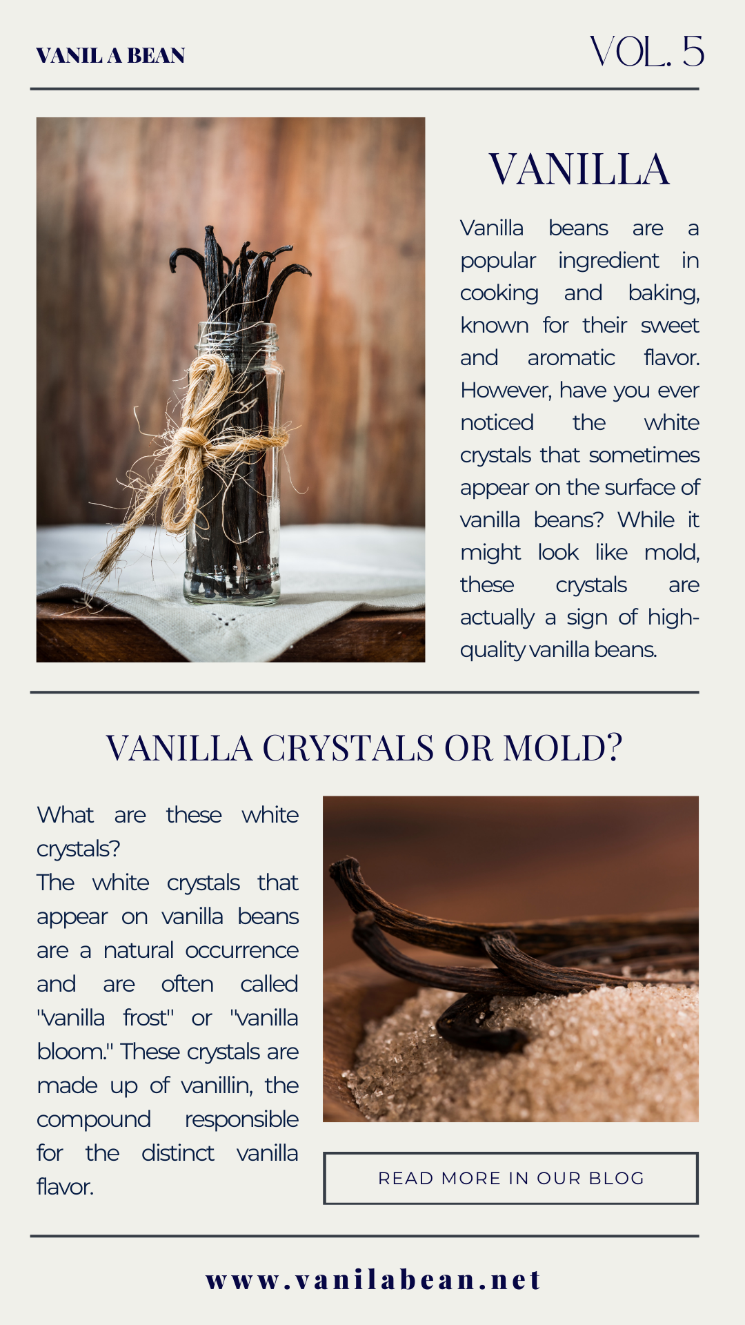 Vanilla Frost or Mold? 