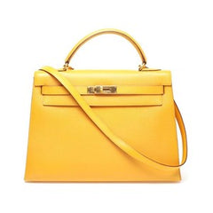 Chamonix Leather Hermes Bag