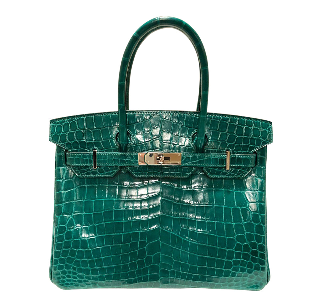 hermes niloticus crocodile