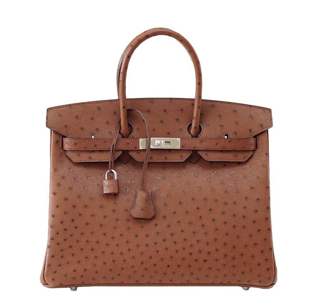 Hermès Birkin 35 Ostrich Etrusque Bag PHW | Baghunter