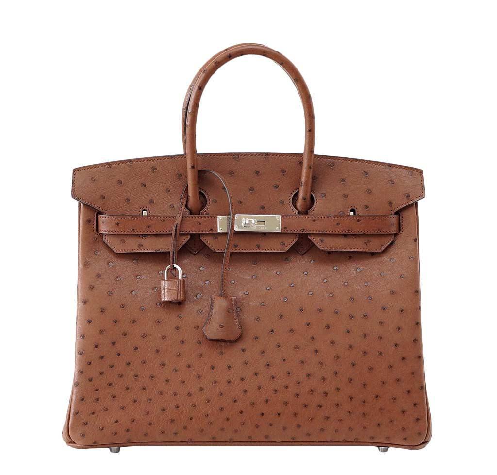 Hermes Ostrich Birkin Bag | IQS Executive