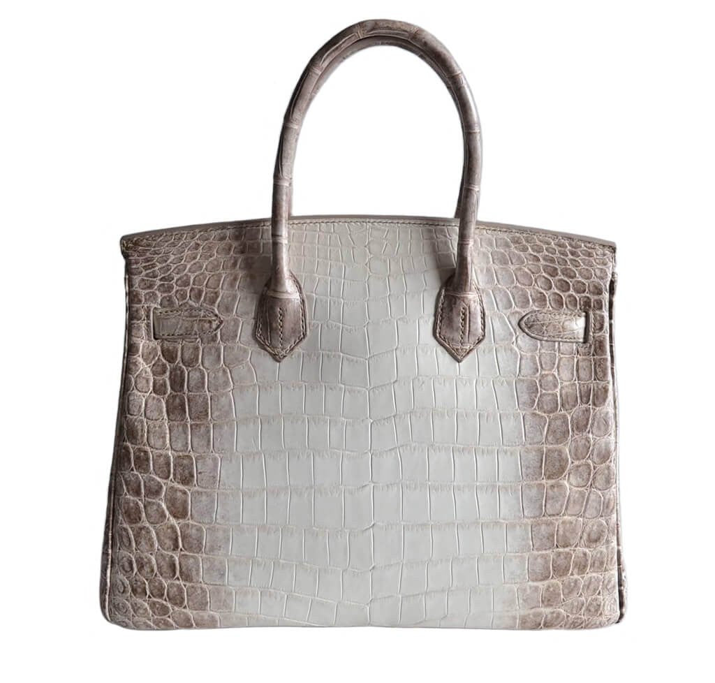 niloticus crocodile himalaya birkin