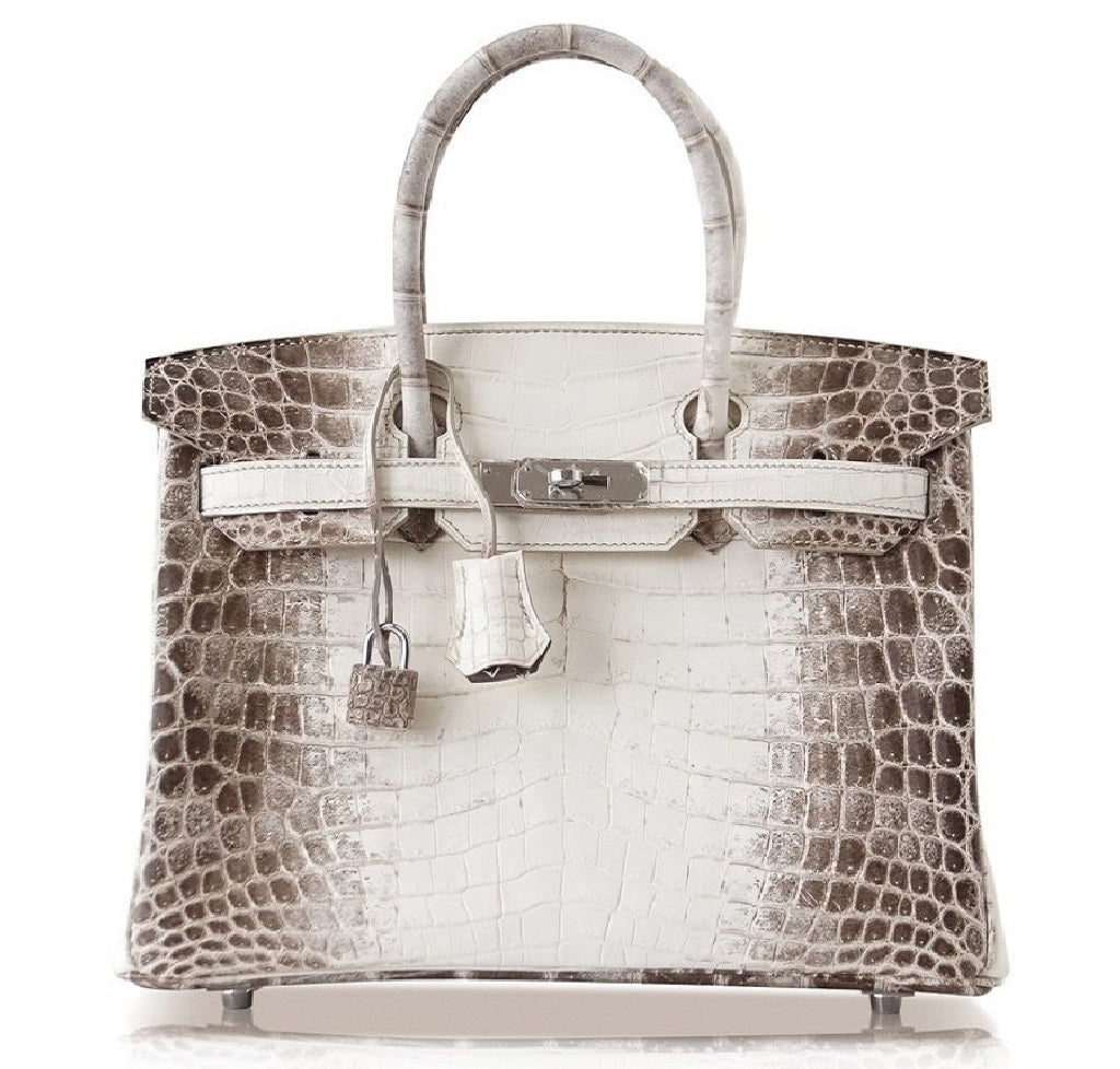 hermes birkin 25 crocodile