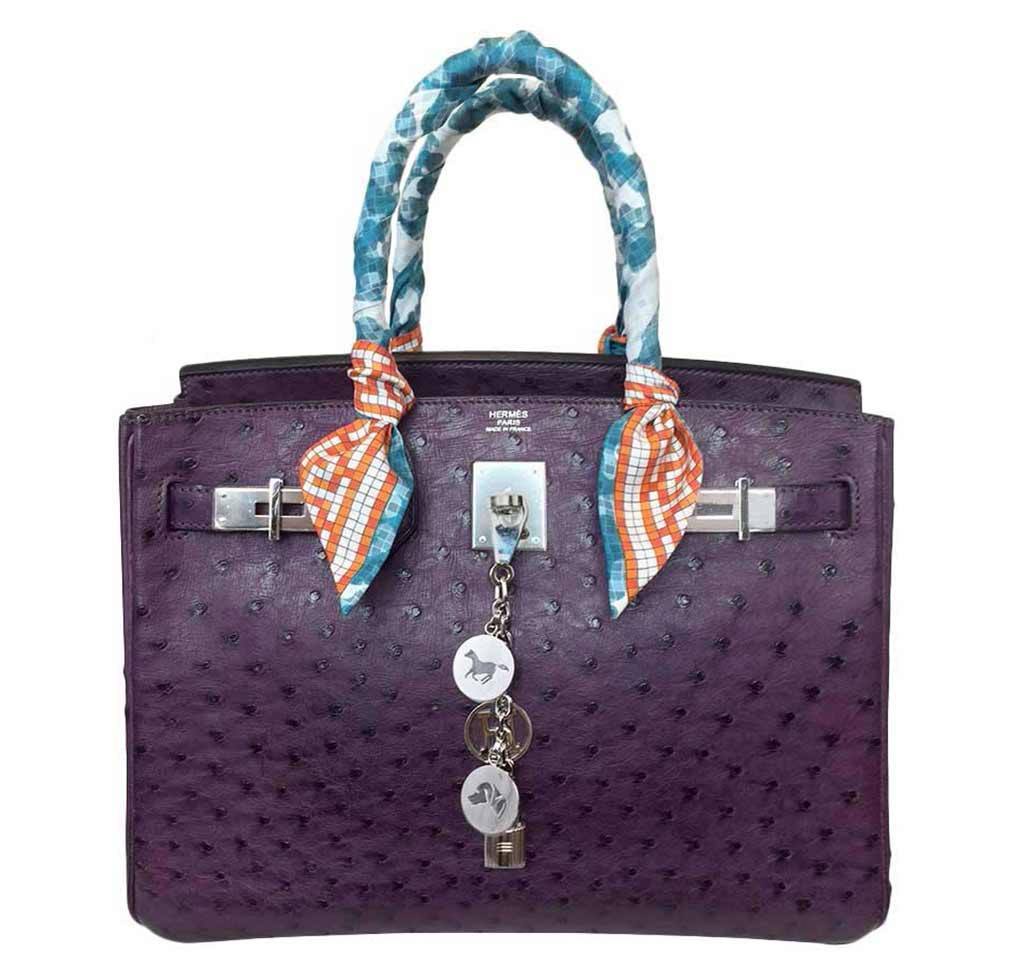 hermes raisin color